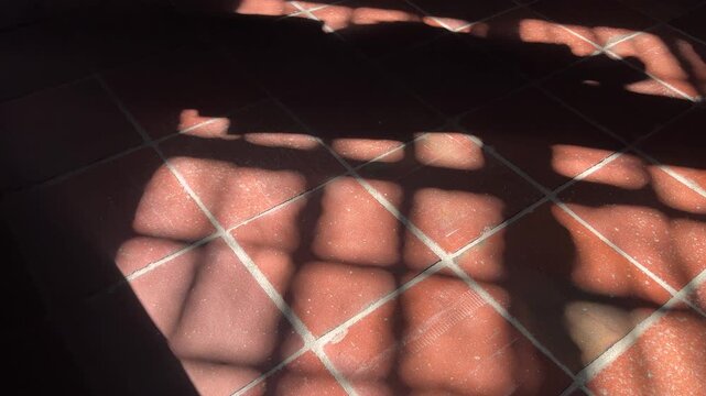Prison bars shadow od the floor