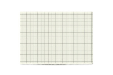 Blank white grid paper sheet with ripped edge on a transparent background, perfect for notes, sketches, and design elements