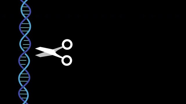 CRISPR Gene Editing Animation. Looping Icon of Scissors Cutting a DNA Strand for Genetic Engineering