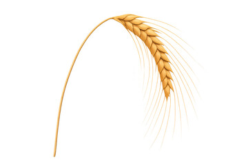 Golden wheat ear with ripe grain representing agriculture, harvest, and food production on a transparent background