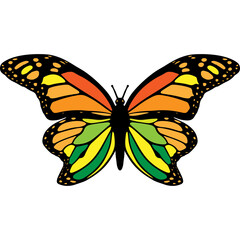 Vibrant Monarch Butterfly with Intricate Wing Patterns in Orange Yellow Green and Black Colors Isolated on White Background