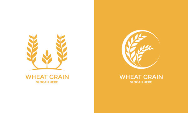 harvest logo design template