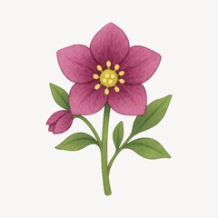 Elegant watercolor pink flower illustration.