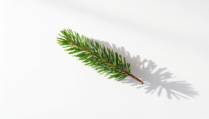 A flat lay photograph of a single fir branch casting a sharp shadow on a clean white background, creating a minimalist winter or Christmas concept.