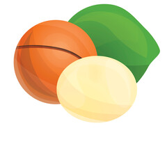 Three Macadamia Nuts One Whole And Two Shelled In Orange Green And Yellow Colors Isolated On White Background With Natural Lighting