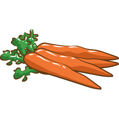 Three Ripe Orange Carrots with Green Leafy Tops on a Transparent Background