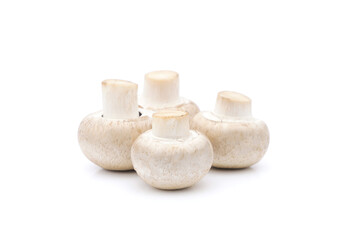 Champignon mushroom isolated on white background