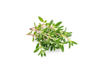 Thyme fresh isolated on white background.