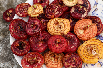 sprouted gladiolus bulbs of different colors are ready for planting