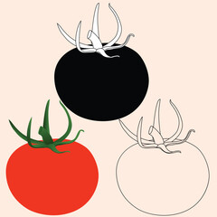 Realstic Tomato Vector Line Art Illustration