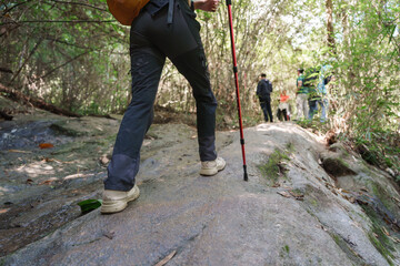 Person hiking rocky path in lush forest