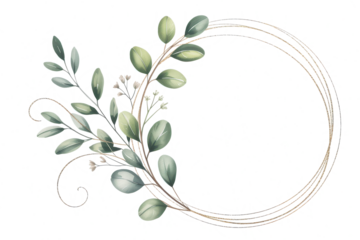 Eucalyptus leaves forming a decorative oval frame isolated on transparent background