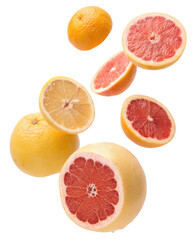 Fresh falling grapefruit and orange citrus fruit slices. Healthy food full of juice and vitamins, vibrant and energetic composition