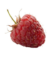 Single fresh red raspberry fruit looking sweet and juicy. This delicious isolated ripe berry perfect ingredient for healthy diet