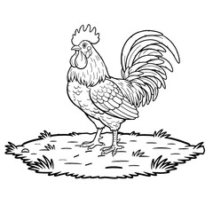 Vector illustration of a proud rooster on green grass with bright feathers, isolated on a white background