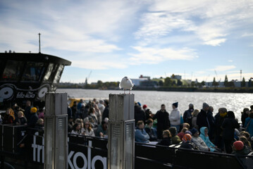 Details of Sea gulls in front of the Hamburg Port on a sunny day. In the background there are cranes and passenger ferrys.