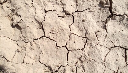 Fototapeta premium Dry Cracked Earth Surface Arid Climate Land Global Warming Drought
