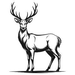 silhouette of a deer