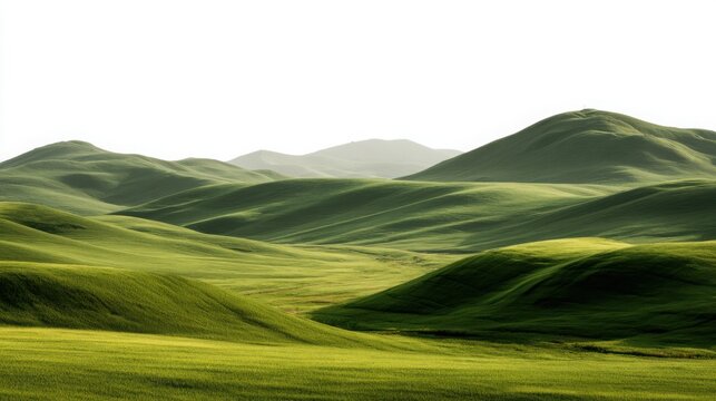 Emerald Meadows: Green Grass Hills on White Background