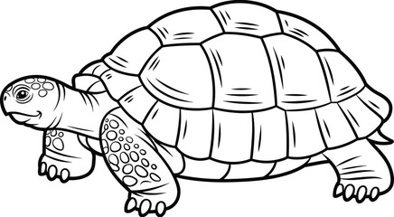 Tortoise illustration, reptile drawing, wildlife sketch, animal silhouette, detailed shell, nature artwork, biology study, educational graphic, slow creature, zoology reference