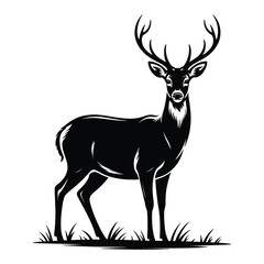 silhouette of a deer