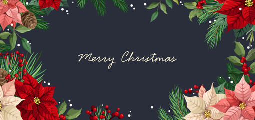 Merry Christmas. Beautiful poster with poinsettias and pine branches. Holiday poster. Vector.