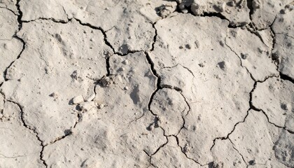Fototapeta premium Dry Cracked Earth Soil Ground Arid Land Texture Background