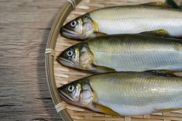 あゆの顔のアップ