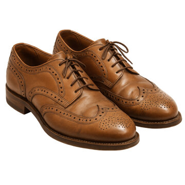 A pair of classic brown leather wingtip brogue shoes with decorative perforations and lace-up closure. These elegant dress shoes are displayed on a soft brown gradient background.