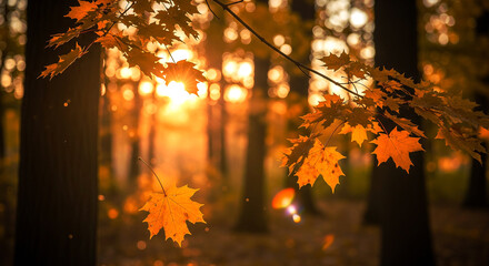 Golden autumn forest bathed in warm sunlight with vibrant orange leaves on branches creating a magical serene atmosphere