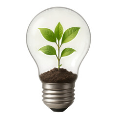 A vibrant green seedling sprouts from rich soil contained within a clear glass light bulb. The metallic base of the bulb rests on a dark reflective surface, against a subtly gradient background.