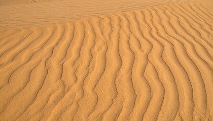 Fototapeta premium Desert Sand Dunes Texture Pattern Wavy Lines Landscape Arid Environment Background