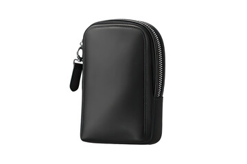 Black zippered pouch, vertical, sleek