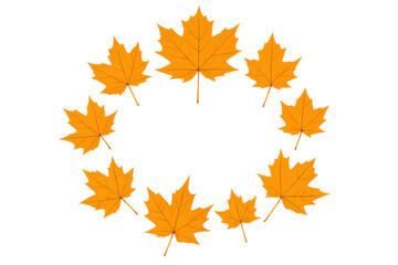 Obraz premium Maple leaves forming circular autumn frame, vibrant orange foliage arranging season border, transparent background