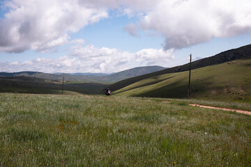 Nature rural landscape. Beautiful view