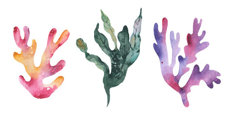 Coral and seaweed watercolor set