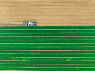In spring, farmers use farm machinery to grow peanuts