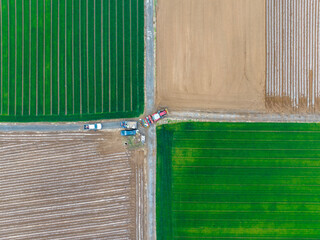 In spring, farmers use farm machinery to grow peanuts