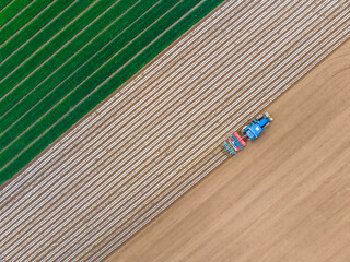 In spring, farmers use farm machinery to grow peanuts