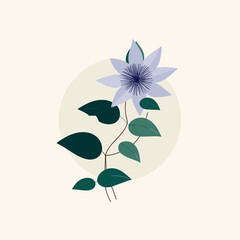 Vector illustration of light blue clematis flower with detailed petals and green leaves on cream background