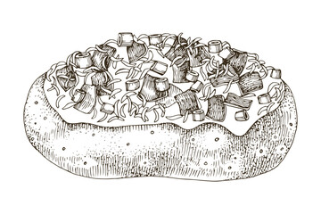 Stuffed baked potato hand drawn vector illustration
