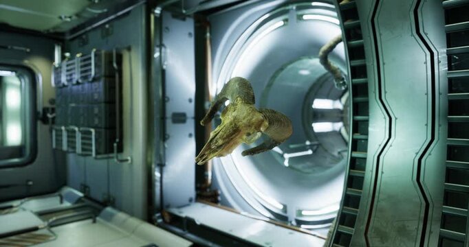 A striking ram skull is suspended in mid air, bathed in radiant light within a futuristic metallic corridor, blending natures artistry with advanced technology in an imaginative setting.