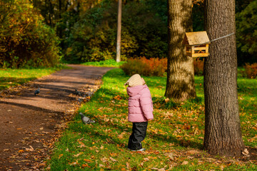 A cute little child girl in an autumn park looks into a bird feeder.