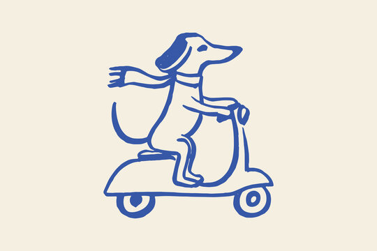 Fototapeta Dachshund riding scooter minimalist sketch vector illustration