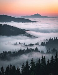 Fototapeta premium Misty mountain landscape at sunrise, pine trees, fog, cinematic lighting, nature