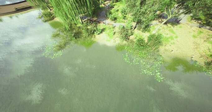 Vibrant greenery surrounds a calm lake, where water lilies bloom gently on the surface. Tall willows sway in the breeze, creating a peaceful escape in an urban oasis during midday.