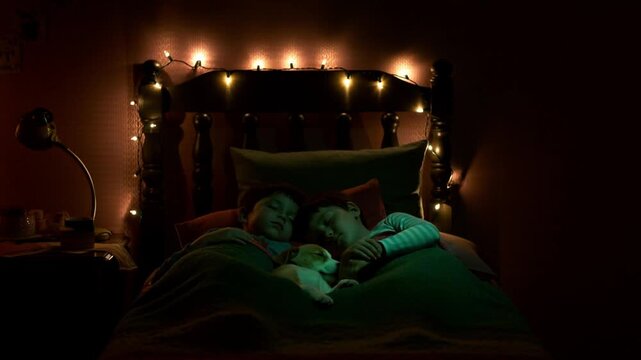 A boys and a puppy sleep under the twinkling lights of a fairy tale. A magical and incredibly cozy scene of absolute peace and safety.