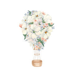 Balloon of white cosmos flowers and basket isolated white. Hot air balloon and blossoms in blush pink for baby. Hand drawn watercolor illustration for nursery wall design and children's stationery.
