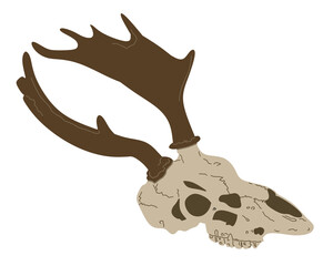 Fototapeta premium Minimalist illustration of a deer skull with dark brown antlers on a white background, symbolizing wilderness, nature, and&nbsp;rustic&nbsp;design