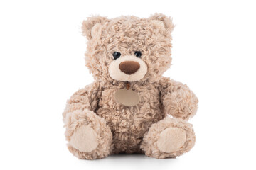 Close-Up of a Cute Brown Teddy Bear,  fluffy vintage plush toy, isolated on white background